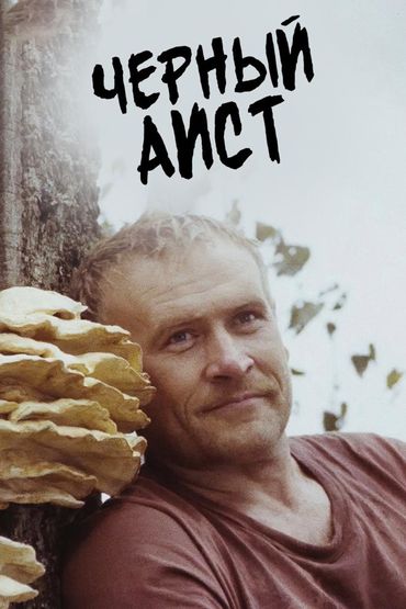 Чёрный аист