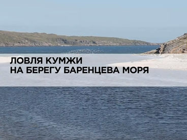 Ловля кумжи на берегу Баренцева моря Ловля кумжи на берегу Баренцева моря