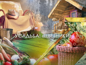 Цветники Цветники