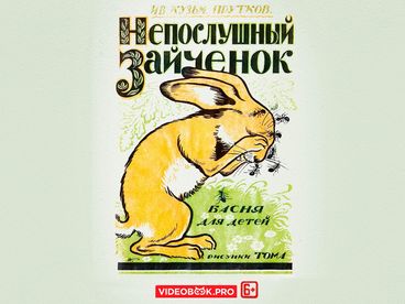 Непослушный зайченок
