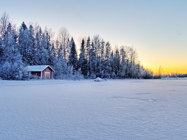 Зима в Подмосковье Зима в Подмосковье
