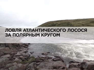 Ловля атлантического лосося за полярным кругом Ловля атлантического лосося за полярным кругом