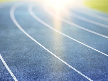 Кулачные бои. Top Dog Prospect 30