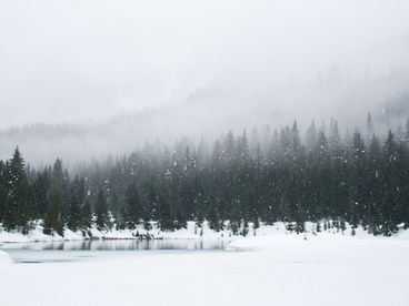 Традиционная охота инуитов Традиционная охота инуитов