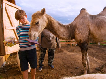 Живая школа