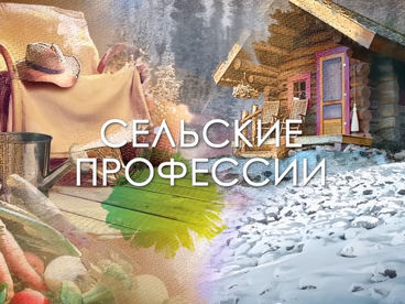 Сельские профессии Сельские профессии