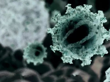 Вирусы: Разрушение и созидание Вирусы: Разрушение и созидание