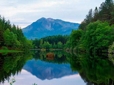 Живая Природа Живая Природа