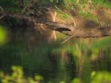 Река Большой Сурень Река Большой Сурень