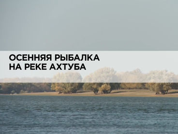 Осенняя рыбалка на реке Ахтуба