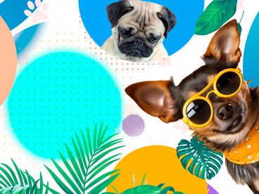 В кругу друзей