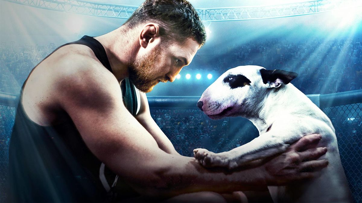 Бультерьер