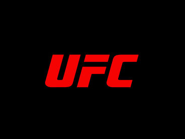 30 лет UFC. Лучшие нокауты