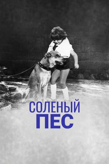 Солёный пёс