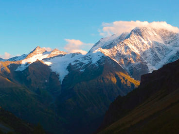 Дикие Архары Дикие Архары