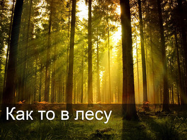 Как-то в лесу Как-то в лесу
