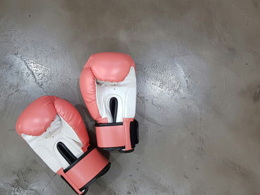 Обзоры известных бойцов Обзоры известных бойцов