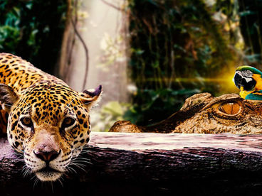 Список желаний. Южная Америка Список желаний. Южная Америка