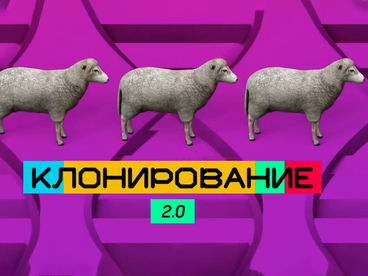 Клонирование. 2.0 Клонирование. 2.0