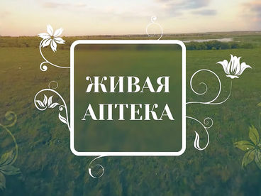 Живая аптека Живая аптека
