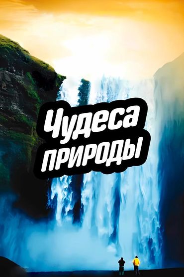 Чудеса природы