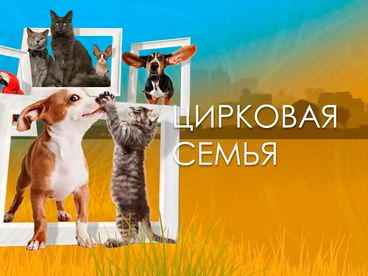 Цирковая семья