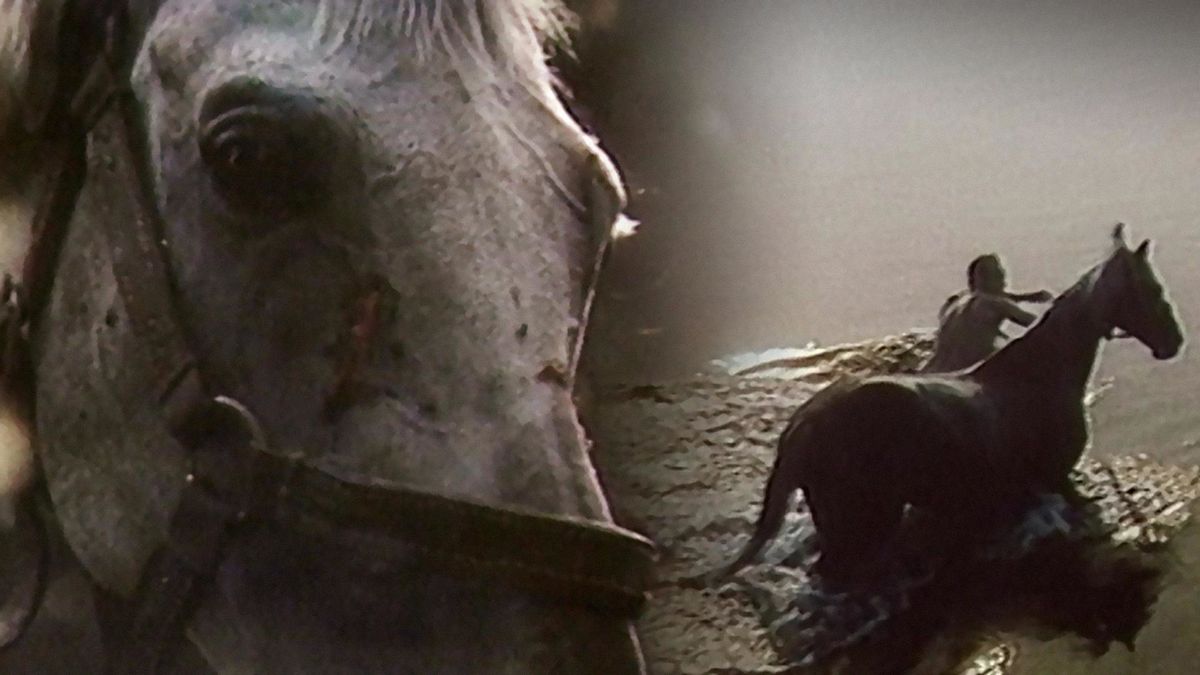 Высокая кровь