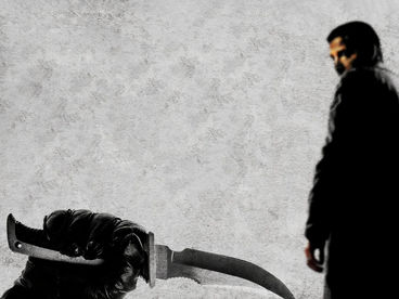 Одна тень на двоих