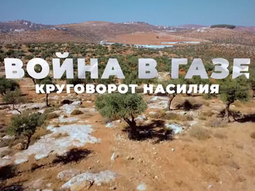 Война в Газе. Круговорот насилия Война в Газе. Круговорот насилия