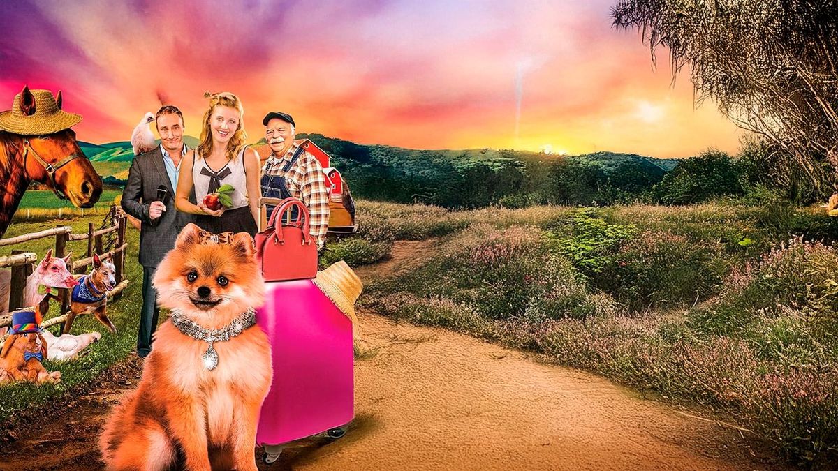 ЛапПарацци