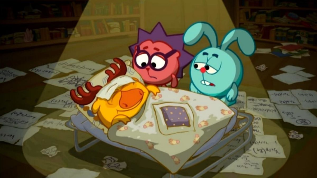 Распорядок дня