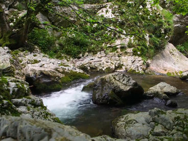 Каньон реки Вратна Сербия Каньон реки Вратна Сербия