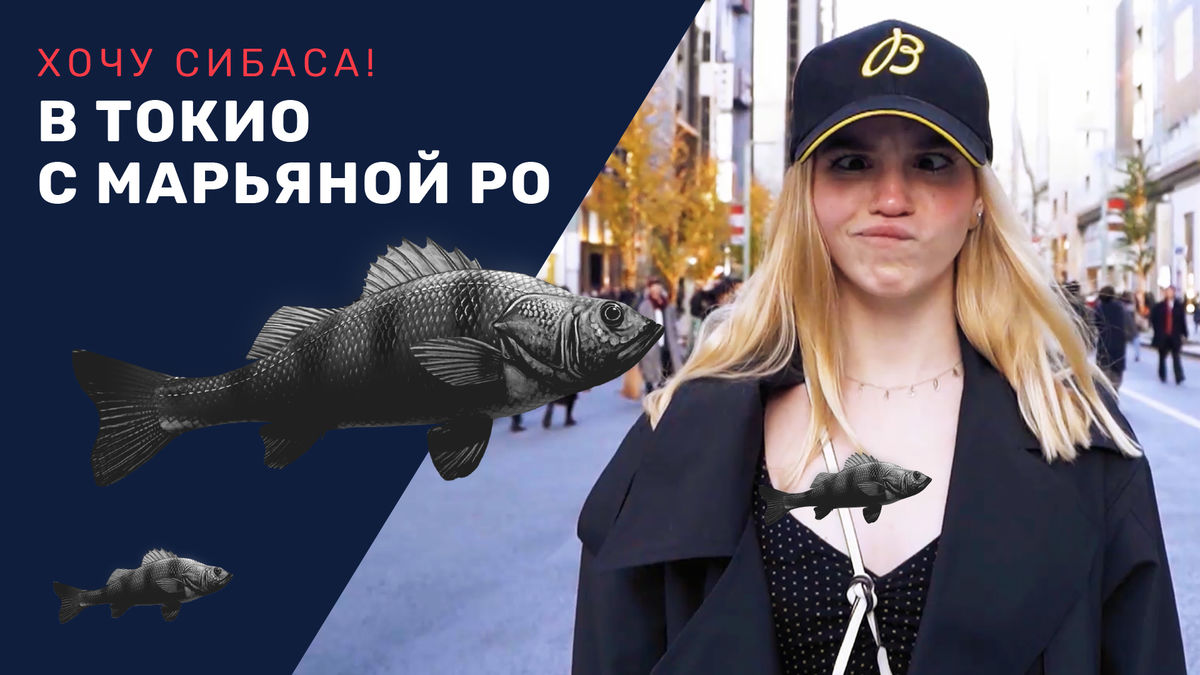 В Дубай с Настей Рыбкой