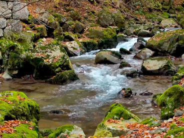 Ущелье Ле Гьер Мор Ущелье Ле Гьер Мор