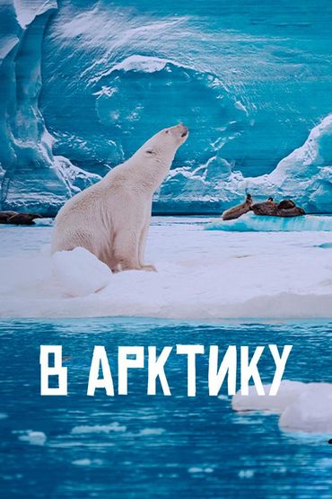 В Арктику
