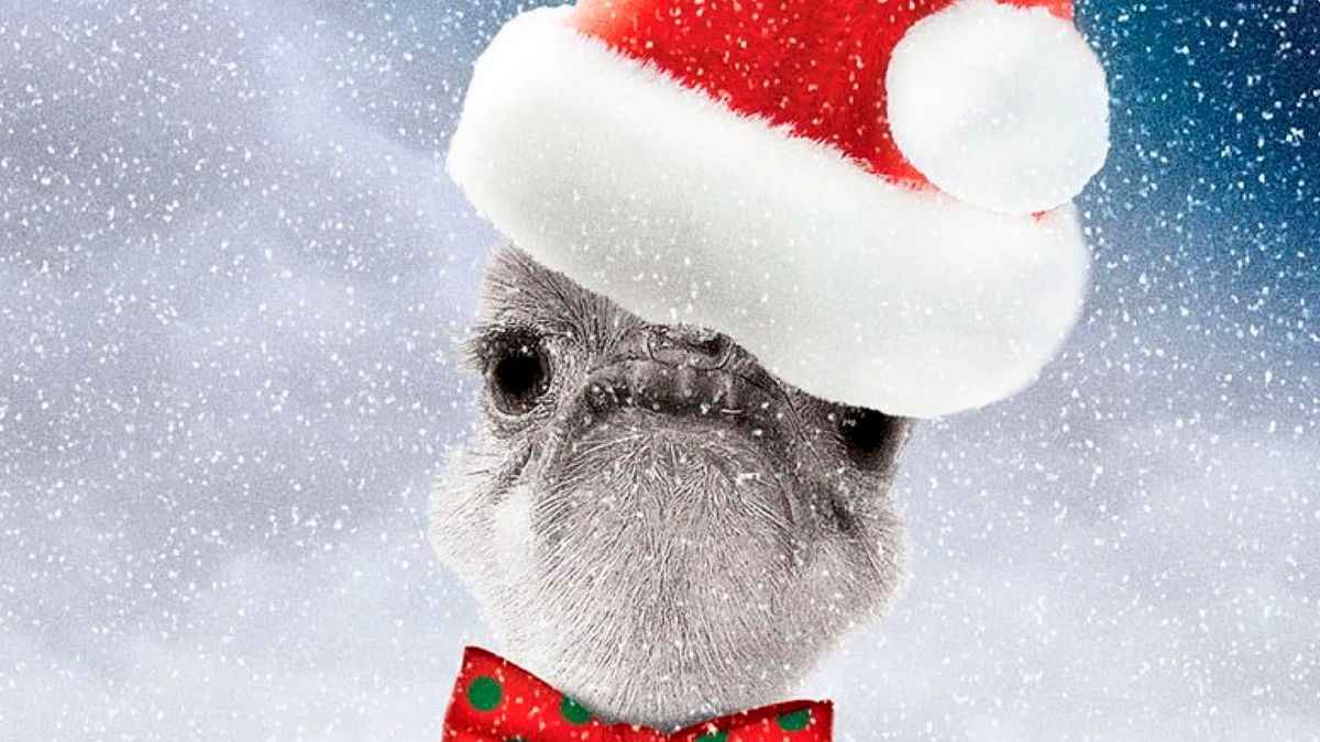 Новогодний переполох