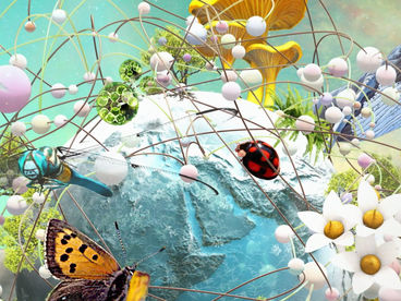 Скрытые чудеса природы