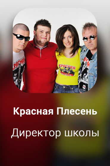 Директор школы