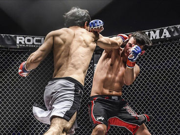 We Love MMA