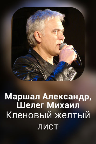 Кленовый желтый лист