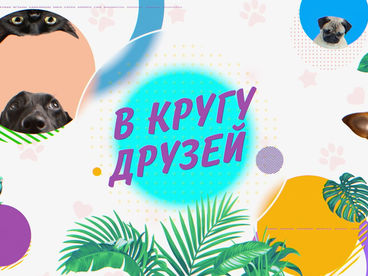 В кругу друзей В кругу друзей