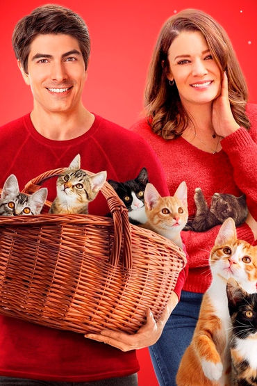 Девять рождественских котят Девять рождественских котят