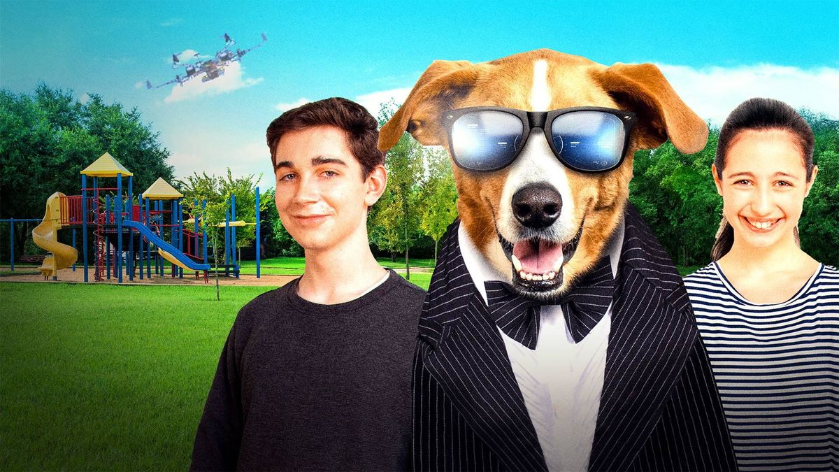 Пёс под прикрытием