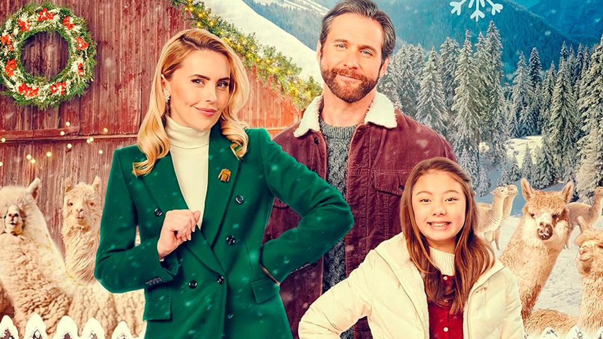 Тёплый приём на ферме альпак