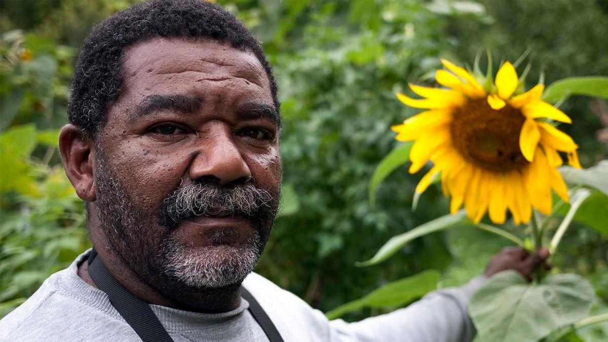 Мэнн против «Форда»