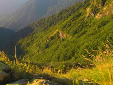 Долина реки Хоби