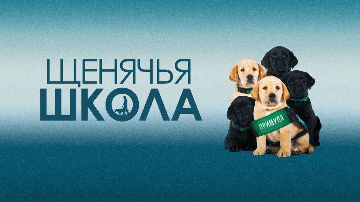 Щенячья школа