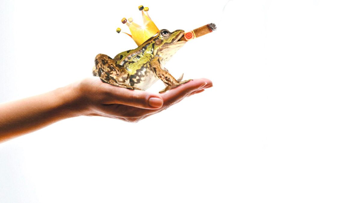 (Не)жданный принц