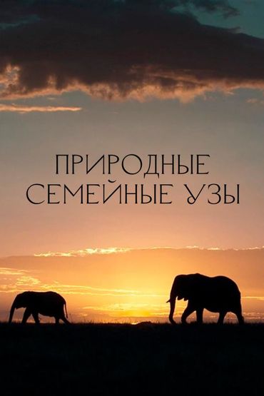 Природные семейные узы