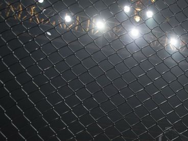 Fight Stars